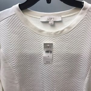 Beige sweater dress. From the loft.